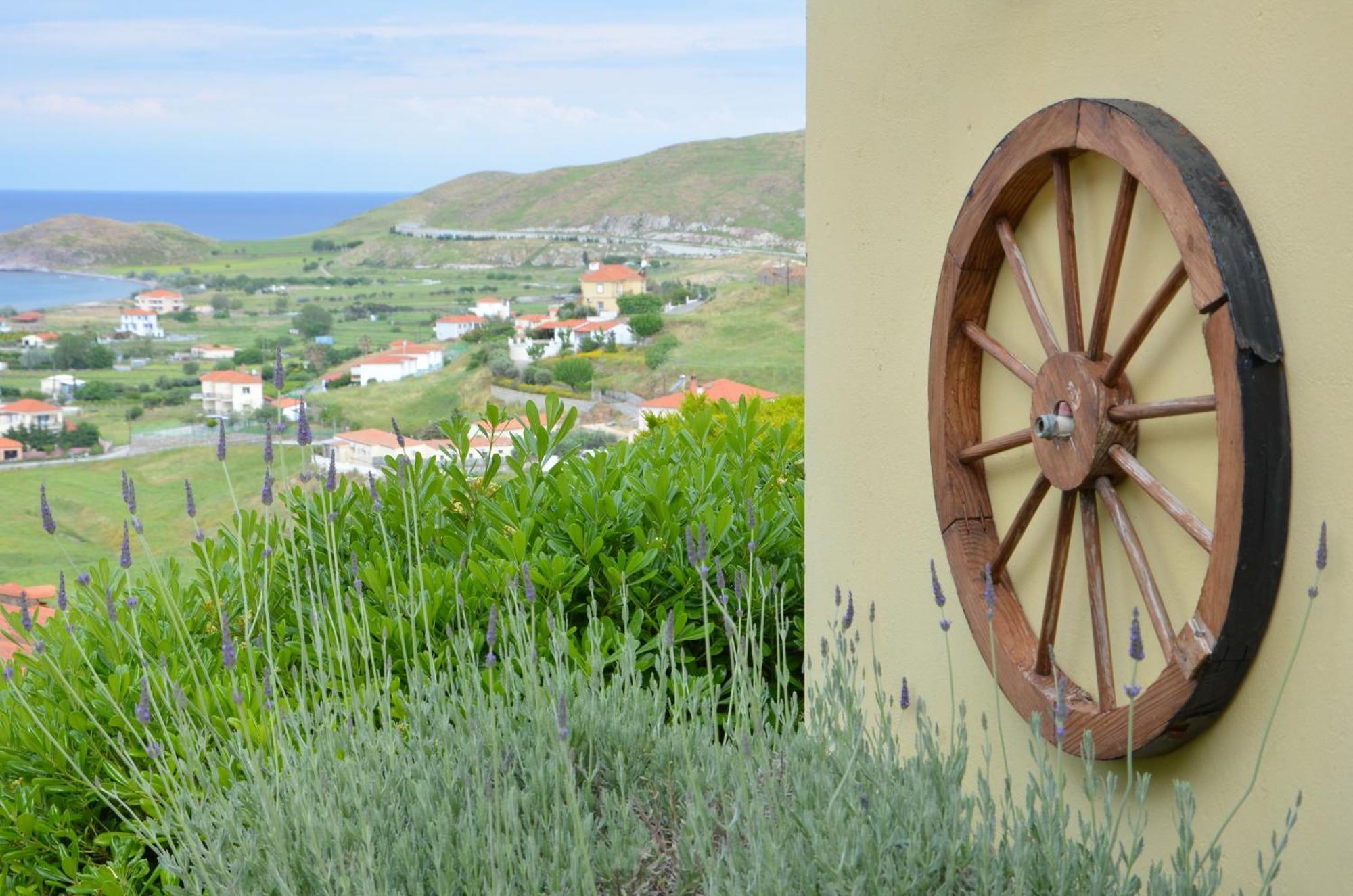 Hotel Dina - Ξενοδοχείο Ντινα Plati  Exterior photo